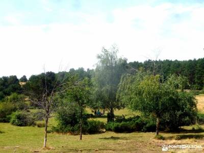 Canencia-Mojonavalle-Sestil de Maillo;rutas buitrago de lozoya yelmo pedriza viajes alternativos bar